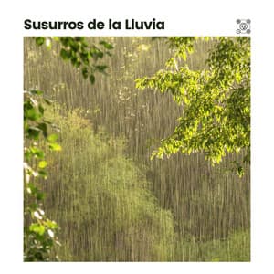 Susurros de la Lluvia - Sonidos De Lluvia