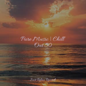 Pure Music | Chill Out 50 - Relajación