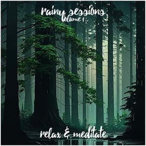 Rainy Sessions - Volume 1 - Relax and Meditate