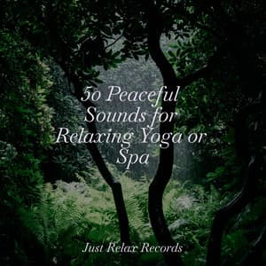 50 Peaceful Sounds for Relaxing Yoga or Spa - Lullaby Land