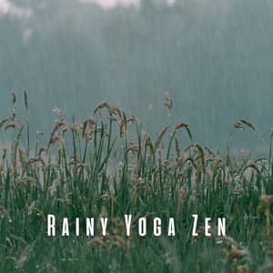 Rainy Yoga Zen: Nature's Insect Tunes with Chill Music - HD Rain and Water
