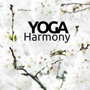 Yoga Harmony - Zen Therapy Songs - Buddha Harmony