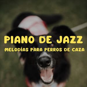 Piano De Jazz: Melodías Para Perros De Caza - Música para acalmar cachorro