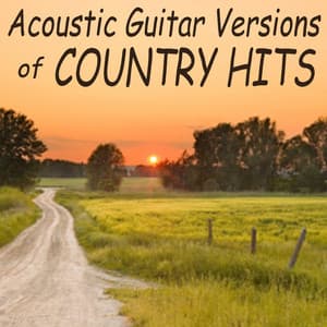 Acoustic Guitar Versions of Country Hits - Steve Petrunak