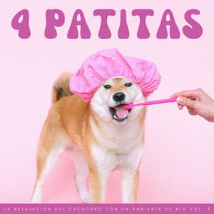4 Patitas: La Relajación Del Cachorro Con Un Ambiente De Río Vol. 2 - Para Relajarse en la Mañana