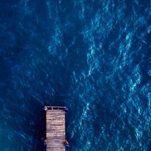 1 Mile Below: Deep Blue - Seascapers