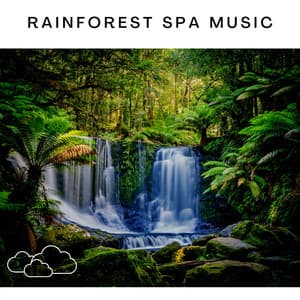 Rainforest Spa Music - Relaxing Radiance