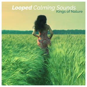 Looped Calming Sounds - Kings of Nature