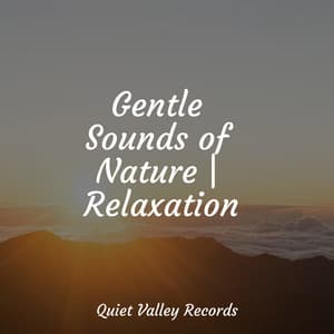 Gentle Sounds of Nature | Relaxation - The Relaxation Principle