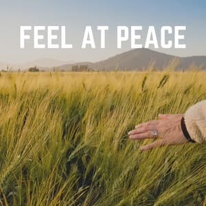 Feel At Peace - Calming Sounds
