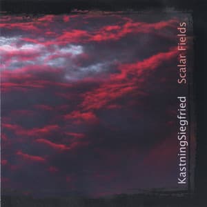 Scalar Fields - Kevin Kastning