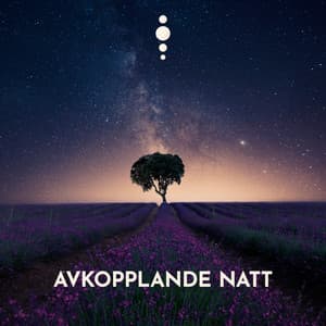 Avkopplande Natt: Perfekt Avkoppling - Avslappning ljud klubb