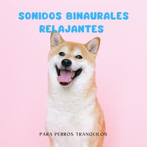 Armonía De La Naturaleza: Sonidos Binaurales Relajantes Para Perros Tranquilos - Latidos Binaurales Puros