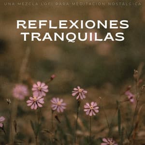 Reflexiones Tranquilas: Una Mezcla Lofi Para Meditación Nostálgica - Latidos De Rap