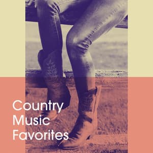 Country Music Favorites - Country Music Masters