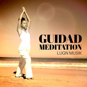 Guidad Meditation: Lugn Musik, Mindfulness Meditation Runt om i Världen, Meditationsmusik - Andliga Meditation Akademi