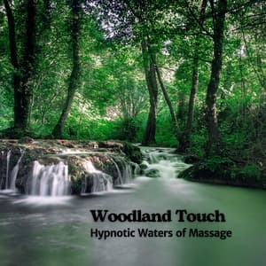 Woodland Touch: Hypnotic Waters of Massage - Natural Woodland Sounds
