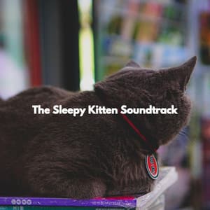 The Sleepy Kitten Soundtrack - Desayuno Jazz