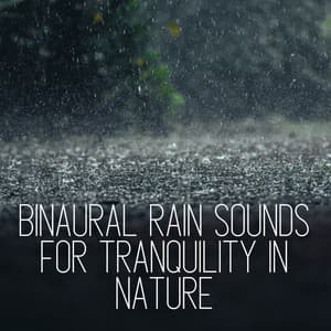 Binaural Rain Sounds for Tranquility in Nature - Binaural Landscapes
