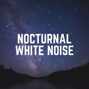 Nocturnal White Noise - Loopable White Noise