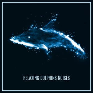 Relaxing Dolphins Noises - Calm Ocean Sounds