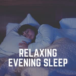 Relaxing Evening Sleep - The Sleep Principle