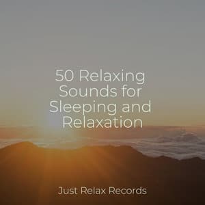 50 Relaxing Sounds for Sleeping and Relaxation - Lullaby Land