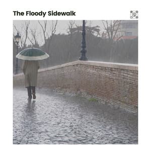 The Floody Sidewalk - Rain Sounds ACE