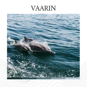 Vaarin - Ocean Sounds Spa