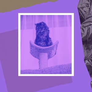 Jazz Trio - Ambiance for Friendly Cats - Cats Music Den