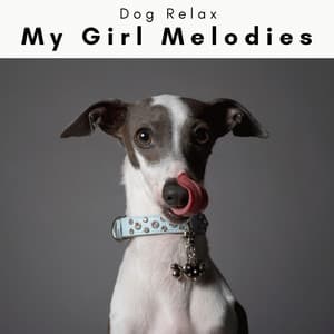 4 Dogs: My Girl Melodies - Dog Relax