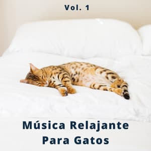 4 Patas, Música Relajante Para Gatos Vol. 1 - Serenidad Academy
