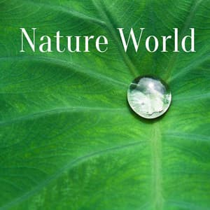Nature World: Soothing Sounds for Meditation, Spa, Yoga, Sleep - Nature Sounds Universe