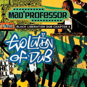 Evolution of Dub - Mad Professor