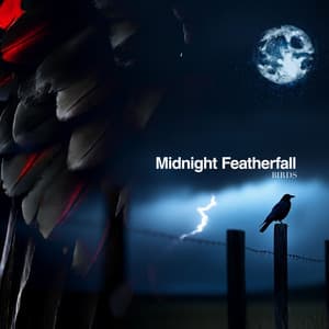 Midnight Featherfall - Birds