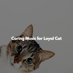 Caring Music for Loyal Cat - Jazz Relajante Clasico