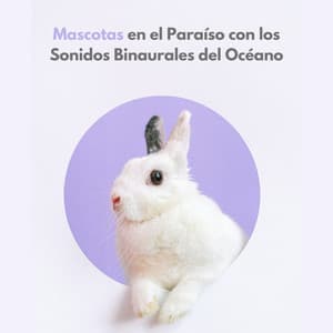 Mascotas En El Paraíso Con Los Sonidos Binaurales Del Océano - Reiki para animales
