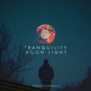 Tranquility Moon Light - Sleep Music: Native American Flute