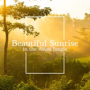 Beautiful Sunrise in the Asian Jungle - Harmony Nature Sounds Academy
