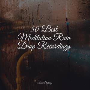 50 Best Meditation Rain Drop Recordings - Deep Focus