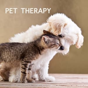 Pet Therapy: Relaxing Music Nature Sounds Nature Music Relaxation for Pets, Cats & Dogs - Pet Therapy Specialist