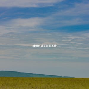 植物が近くにある時 - Study Music Deluxe