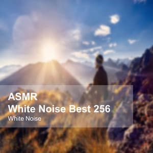 White Noise ASMR Best 256 - White Noise