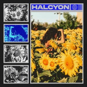 Halcyon - Granular Soundscape