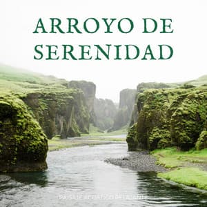 Arroyo De Serenidad: Paisaje Acuático Relajante - Arroyo estéreo
