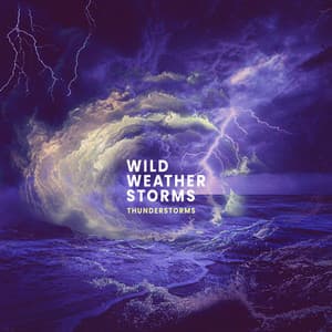 Wild Weather Storms - Thunderstorms