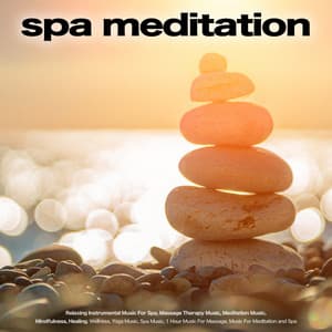Spa Meditation: Relaxing Instrumental Music For Spa, Massage Therapy Music, Meditation Music, Mindfulness, Healing, Wellness, Yoga Music, Spa Music, 1 Hour Music For Massage, Music For Meditation and Spa - One Hour Meditation