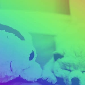 Music for Puppy Play Jazz - Relajado Musica Relajante para Perros