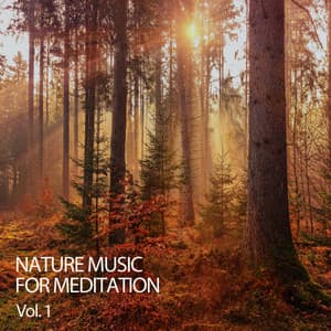 Nature Music For Meditation Vol. 1 - Focus