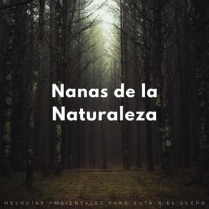 Nanas De La Naturaleza: Melodías Ambientales Para Nutrir El Sueño - Sonidos orgánicos de la naturaleza